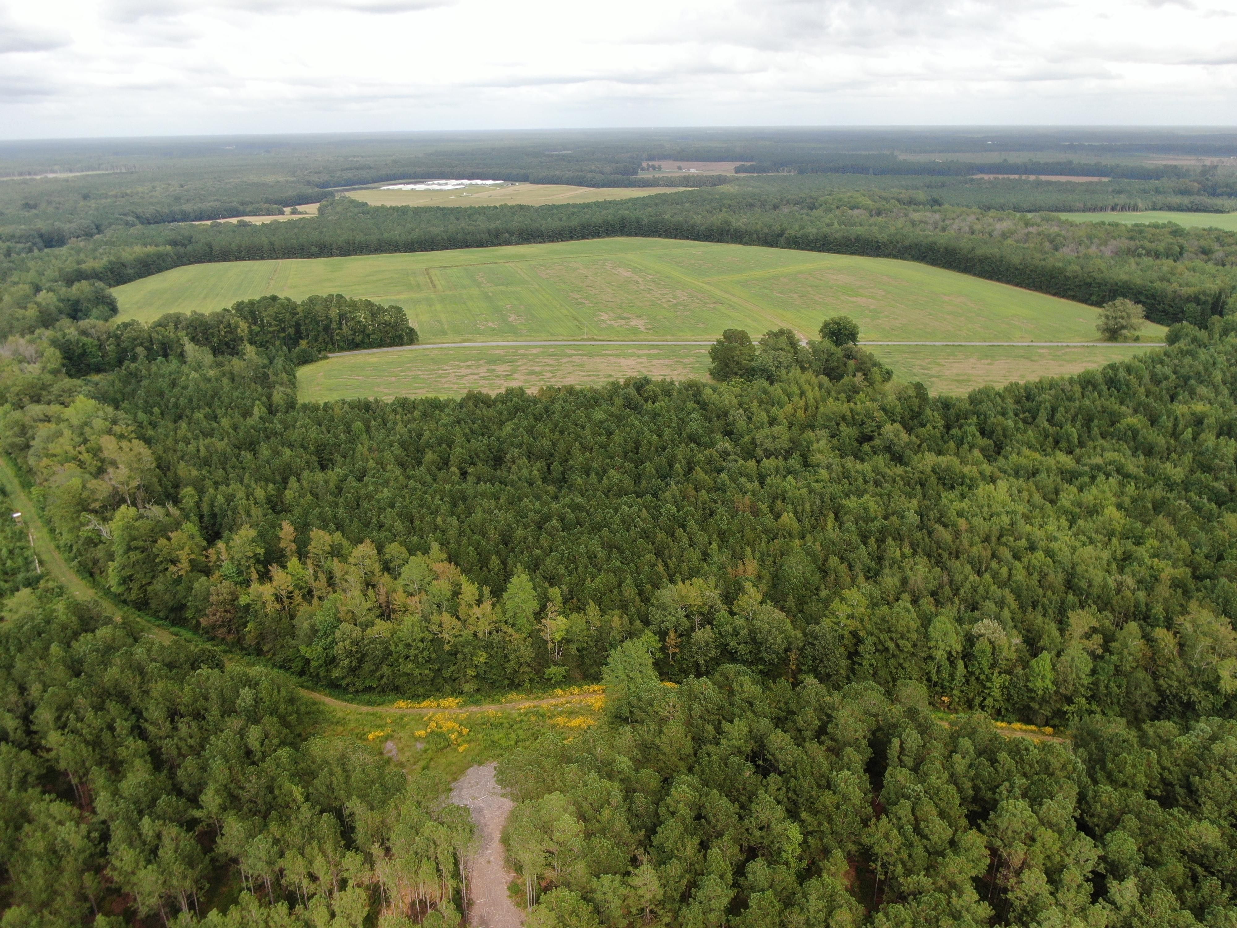 141 acres in Northampton County, North Carolina