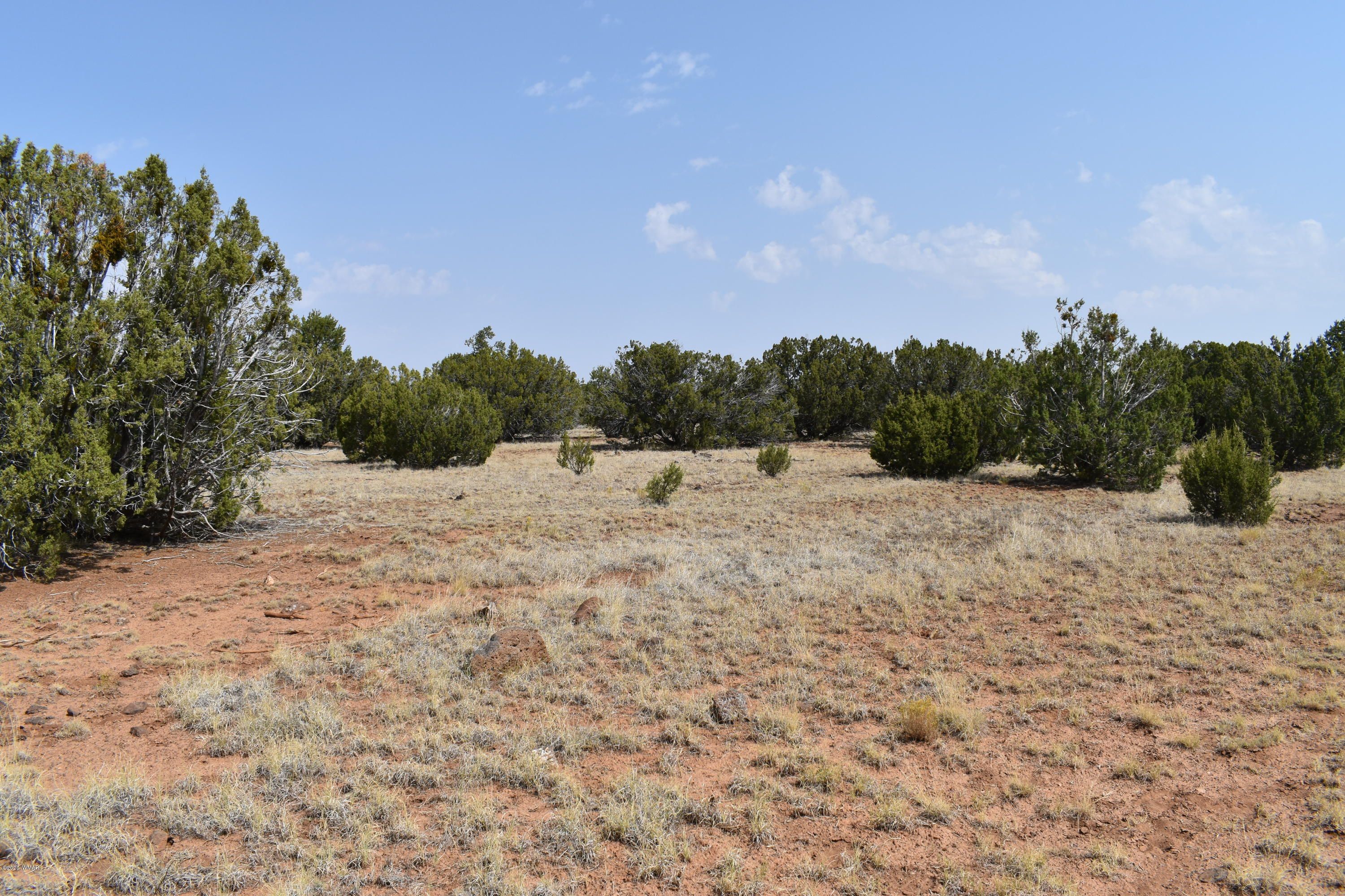 1.16 acres in Apache County, Arizona