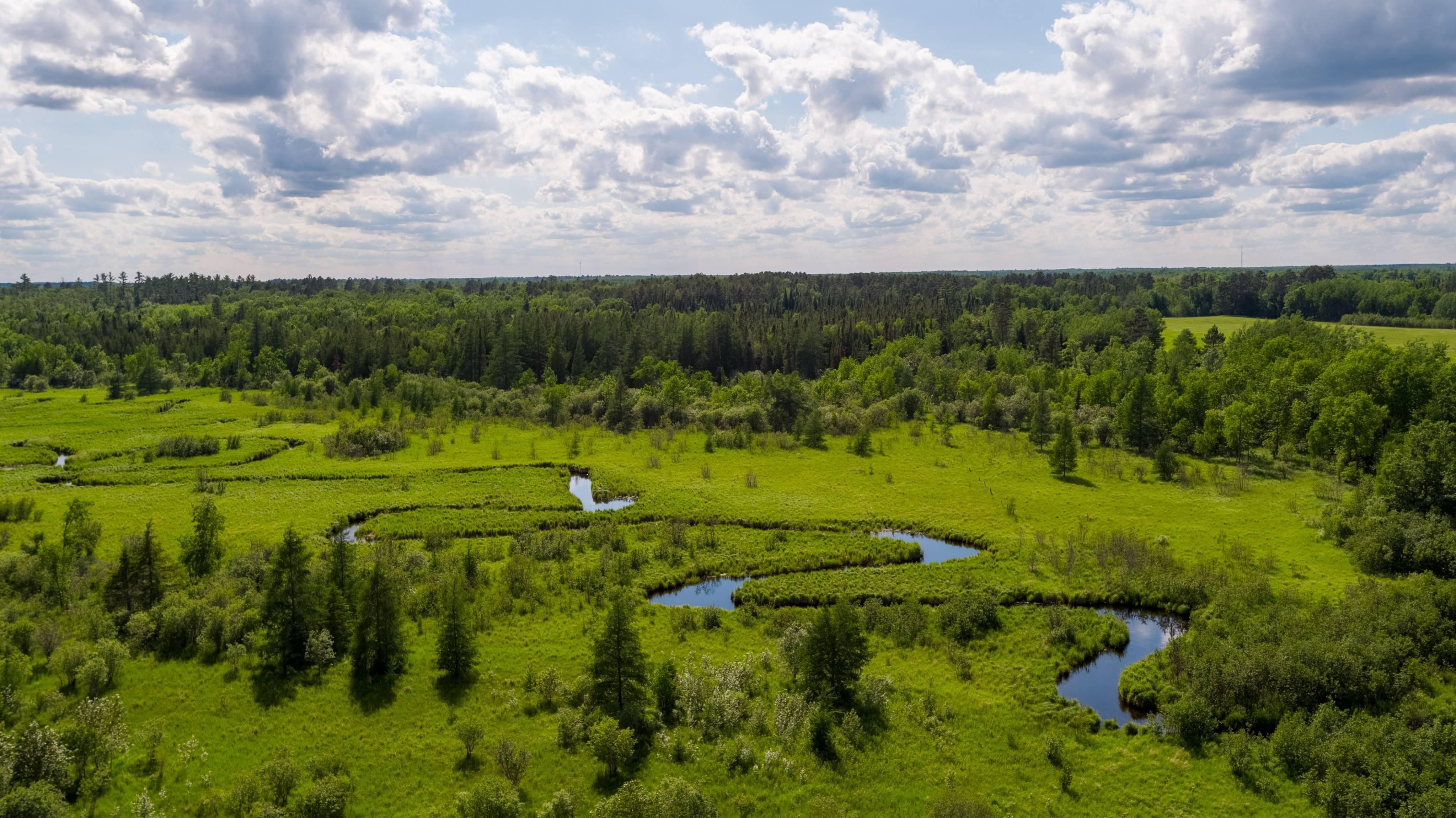 40 acres in Beltrami County, Minnesota