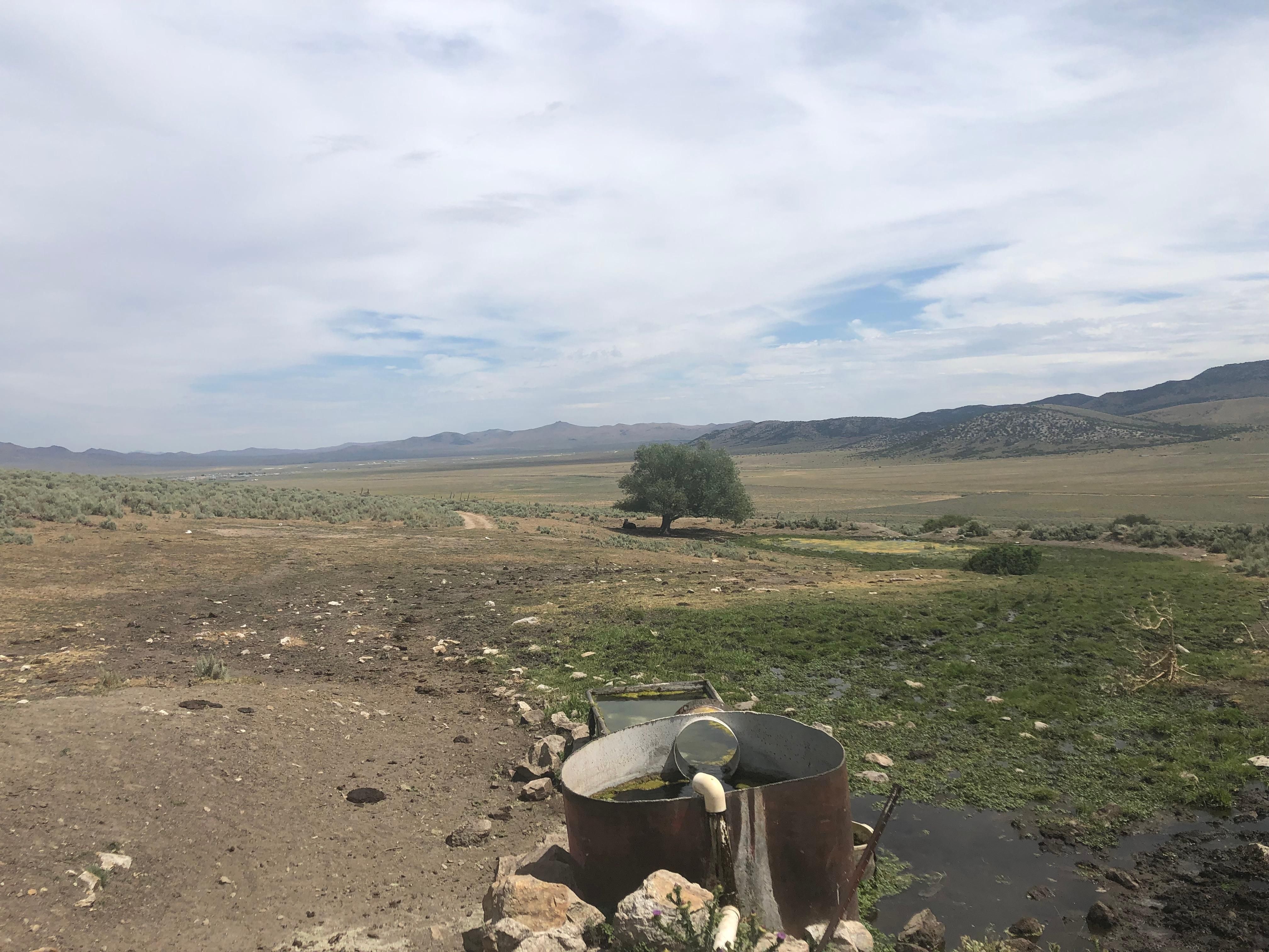 3,795.93 acres in Wells, NV, 89835 MLS 3158