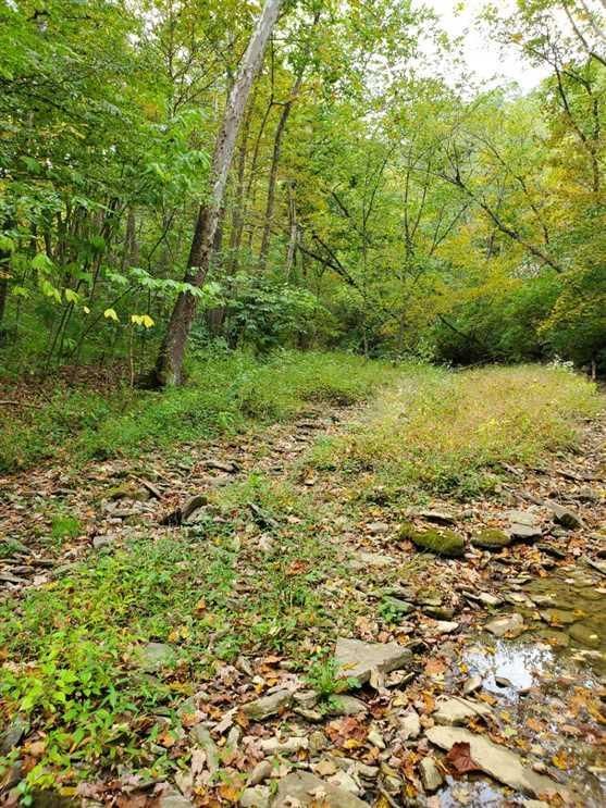 11 acres in Dearborn County, Indiana