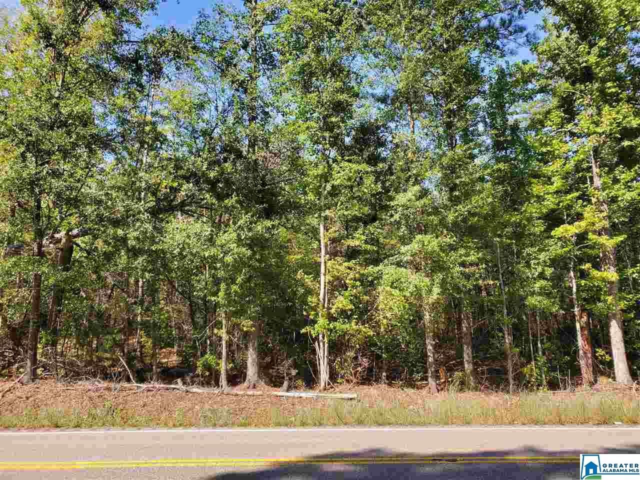 75 acres in Coosa County, Alabama