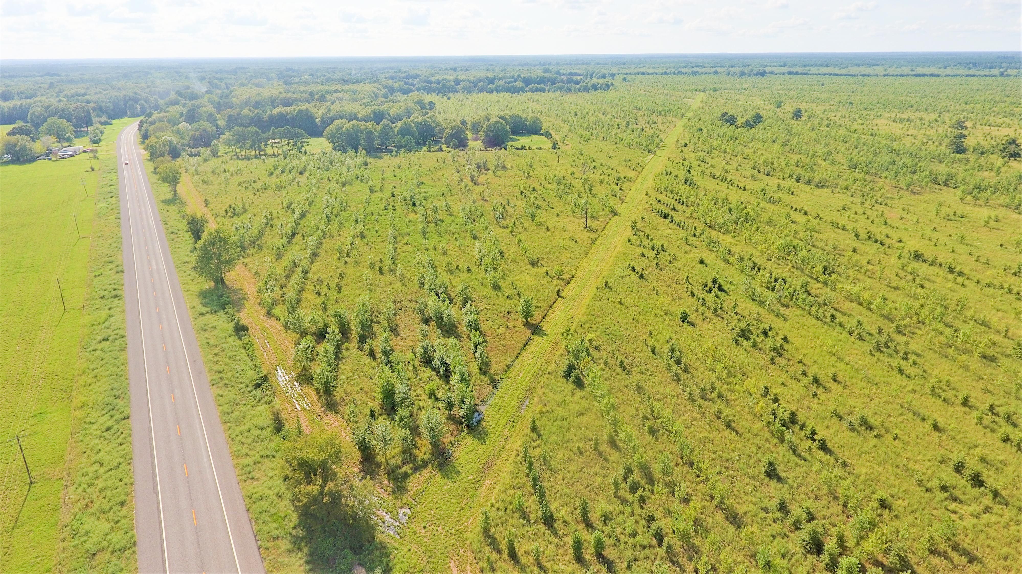 Hwy 67, Bassett, TX 75574