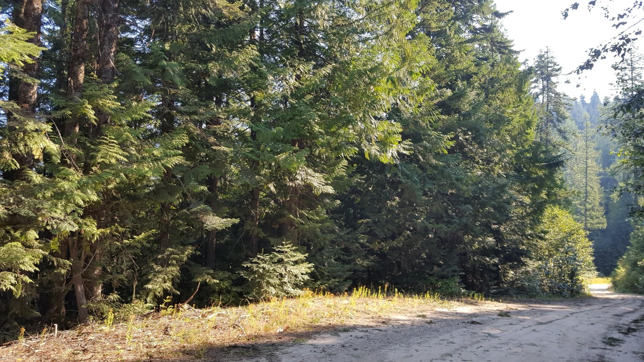 5 acres in Benewah County, Idaho