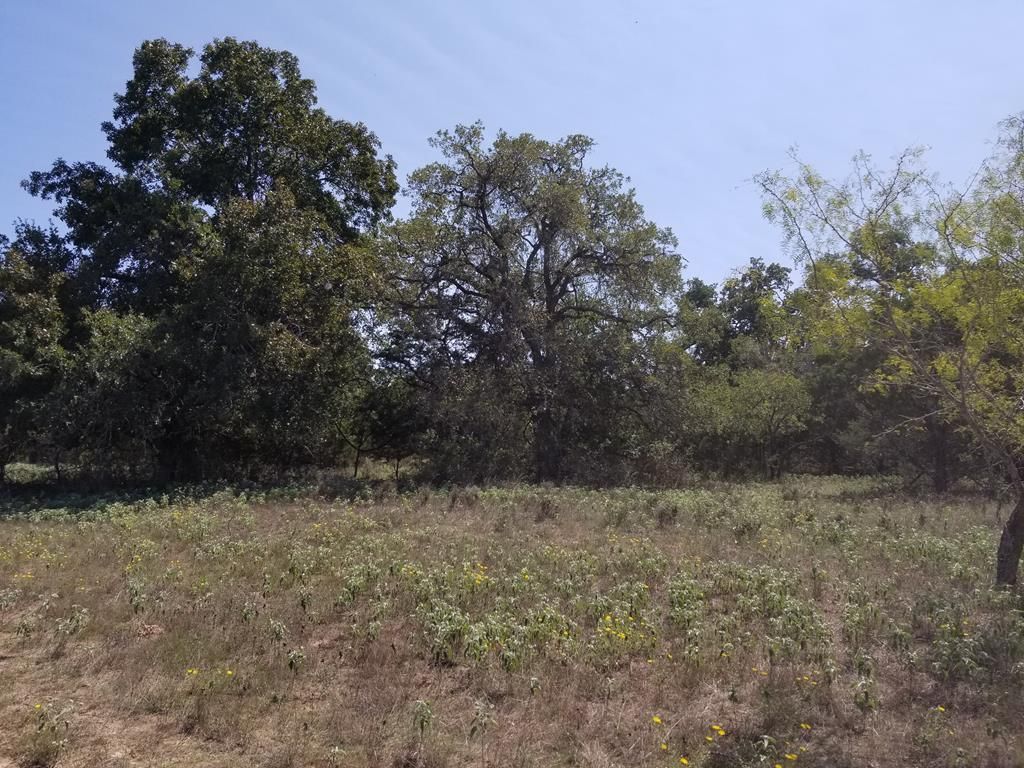 10.53 acres in Gillespie County, Texas