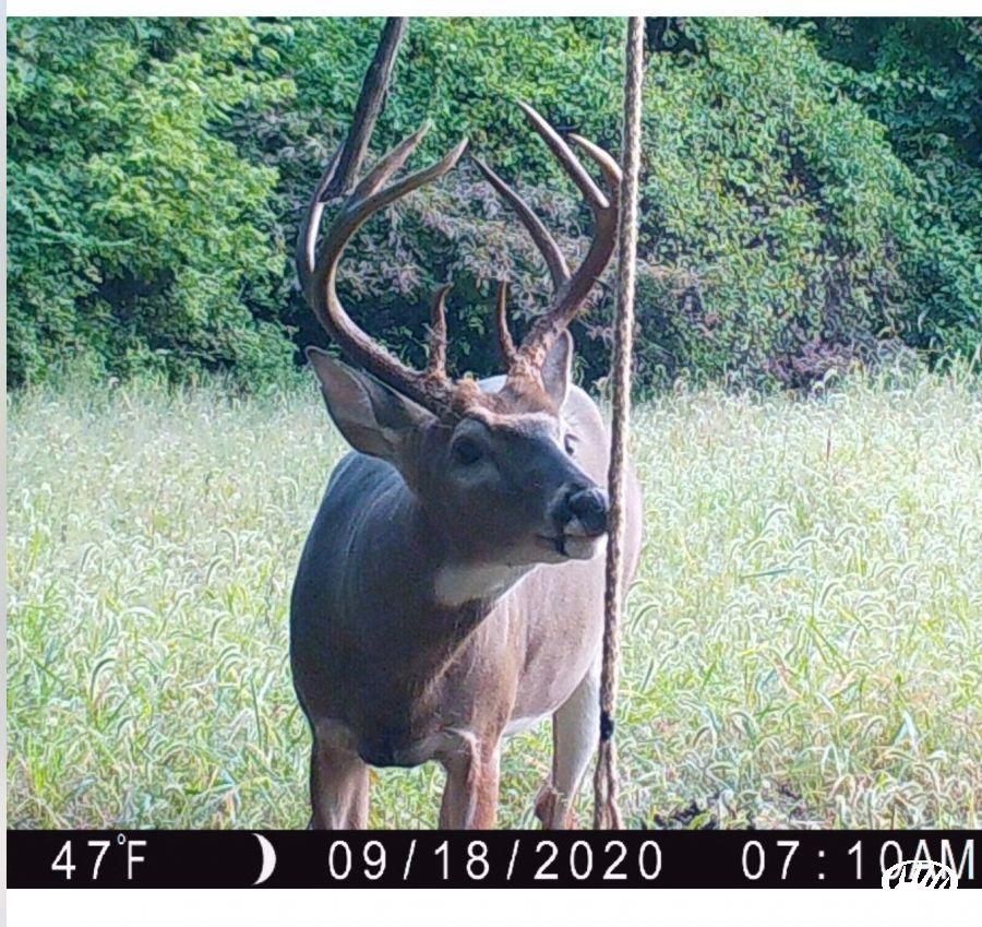 315 acres in Calhoun County, Illinois