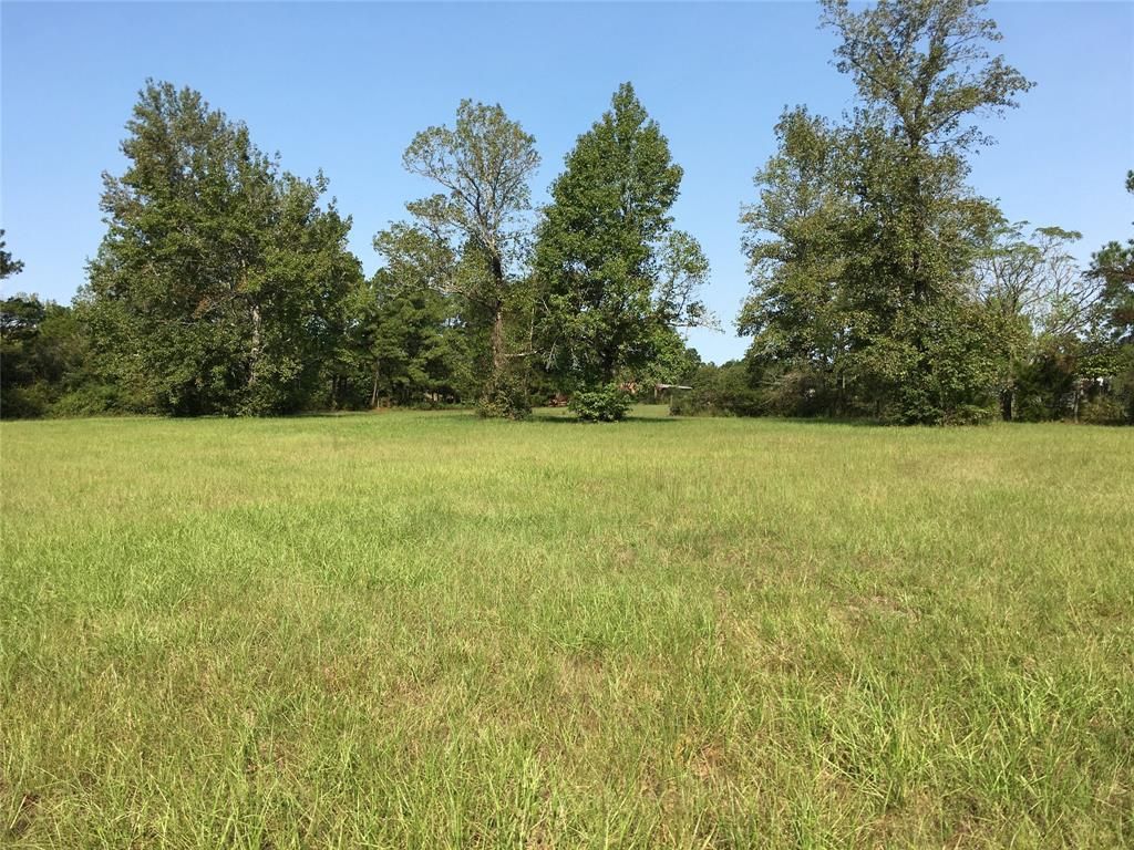 4 acres in San Jacinto County, Texas