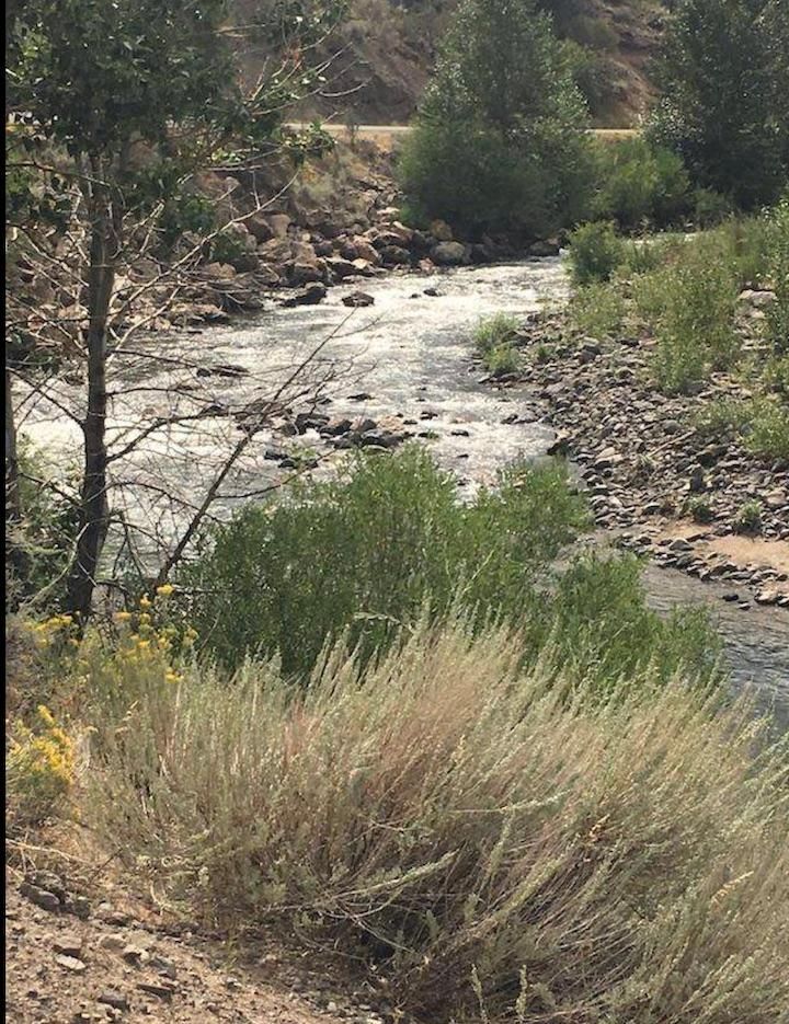 75.09 acres in Alpine County, California