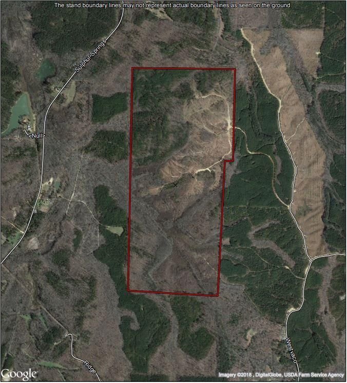 270 acres in McNairy County, Tennessee