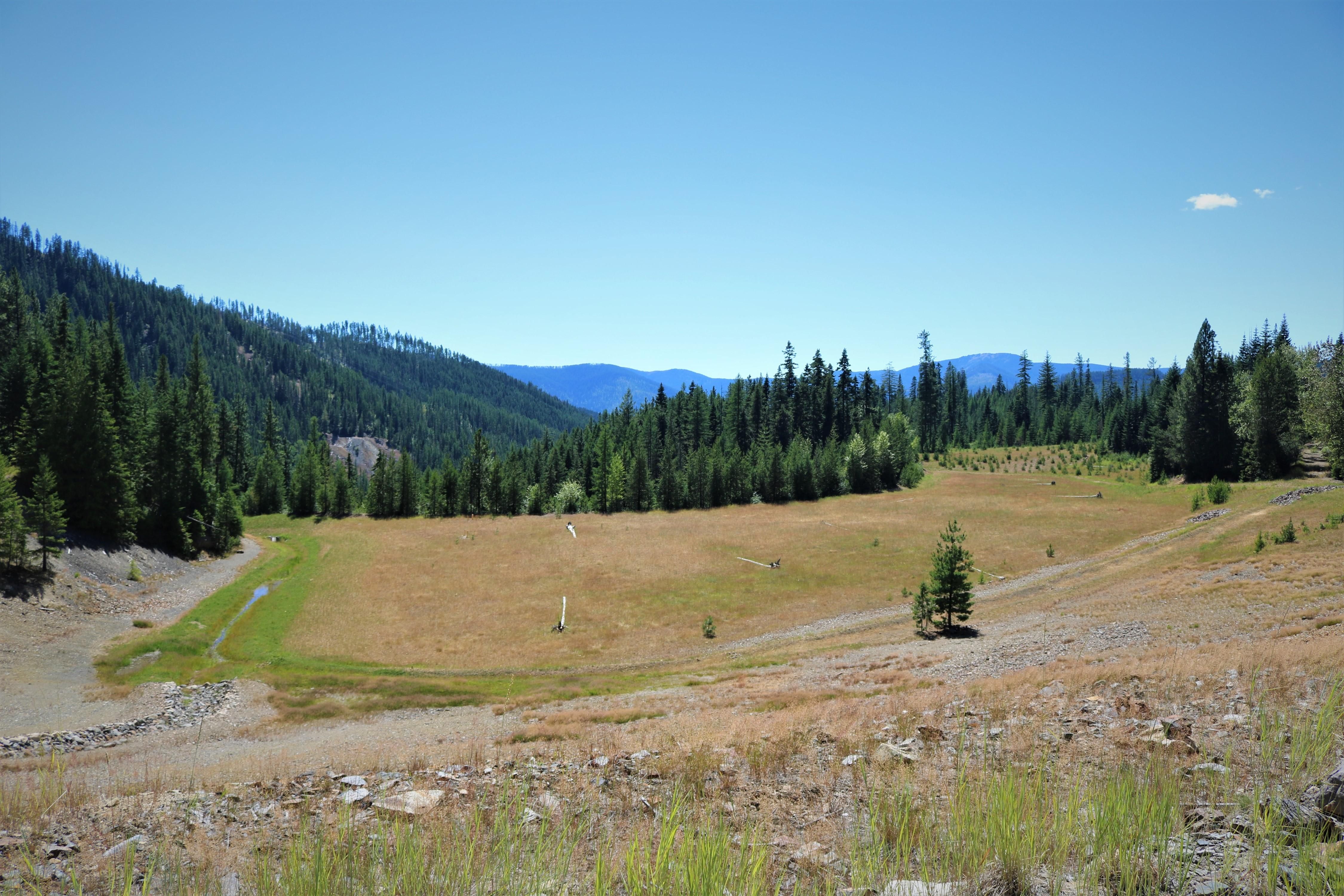 9.99 acres in Shoshone County, Idaho