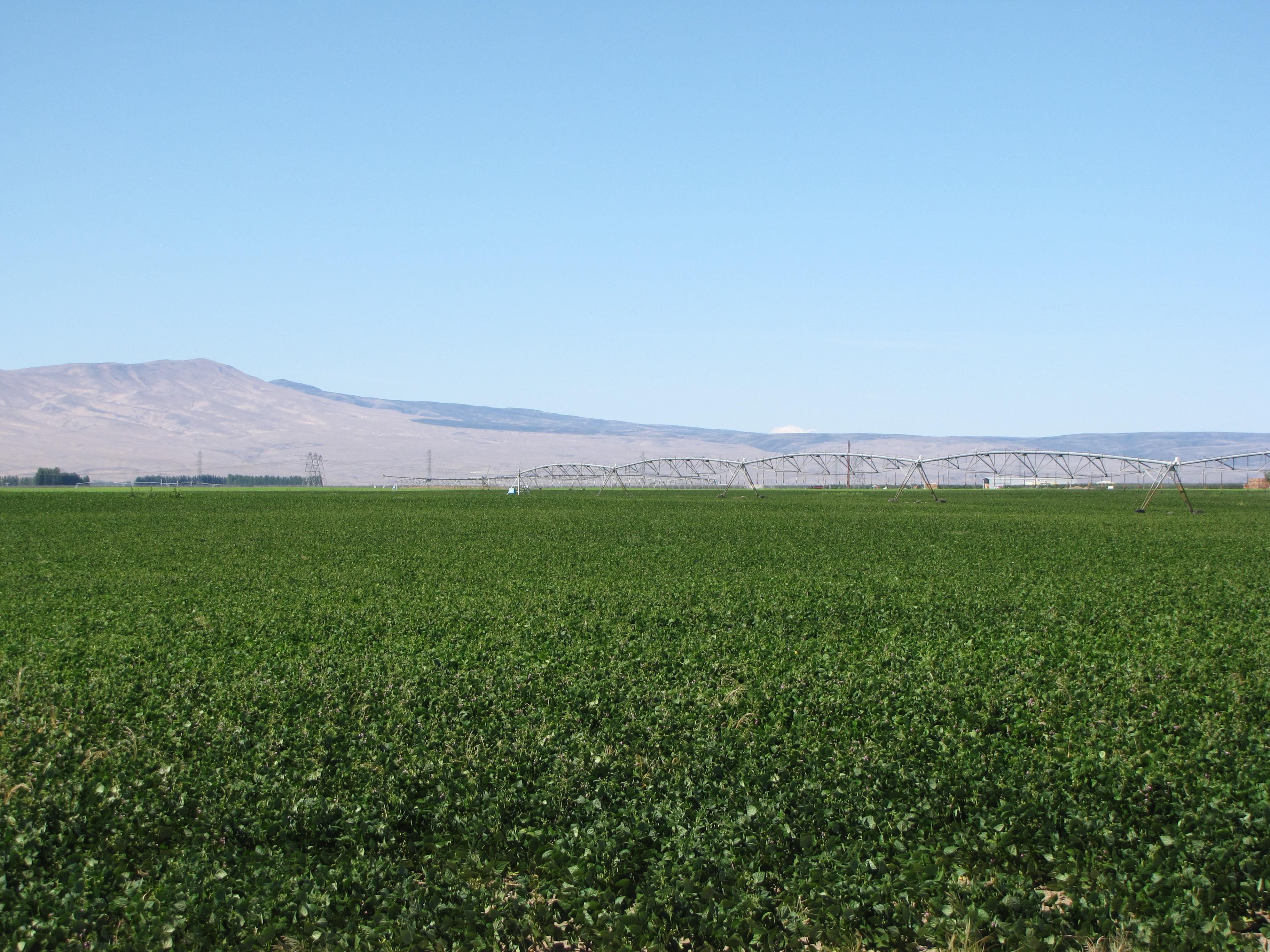 611.3 acres in Mattawa, WA, 99349