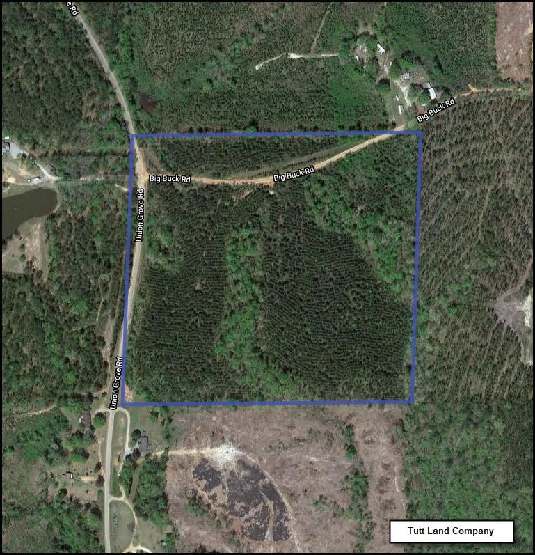 39 acres in Marengo County, Alabama