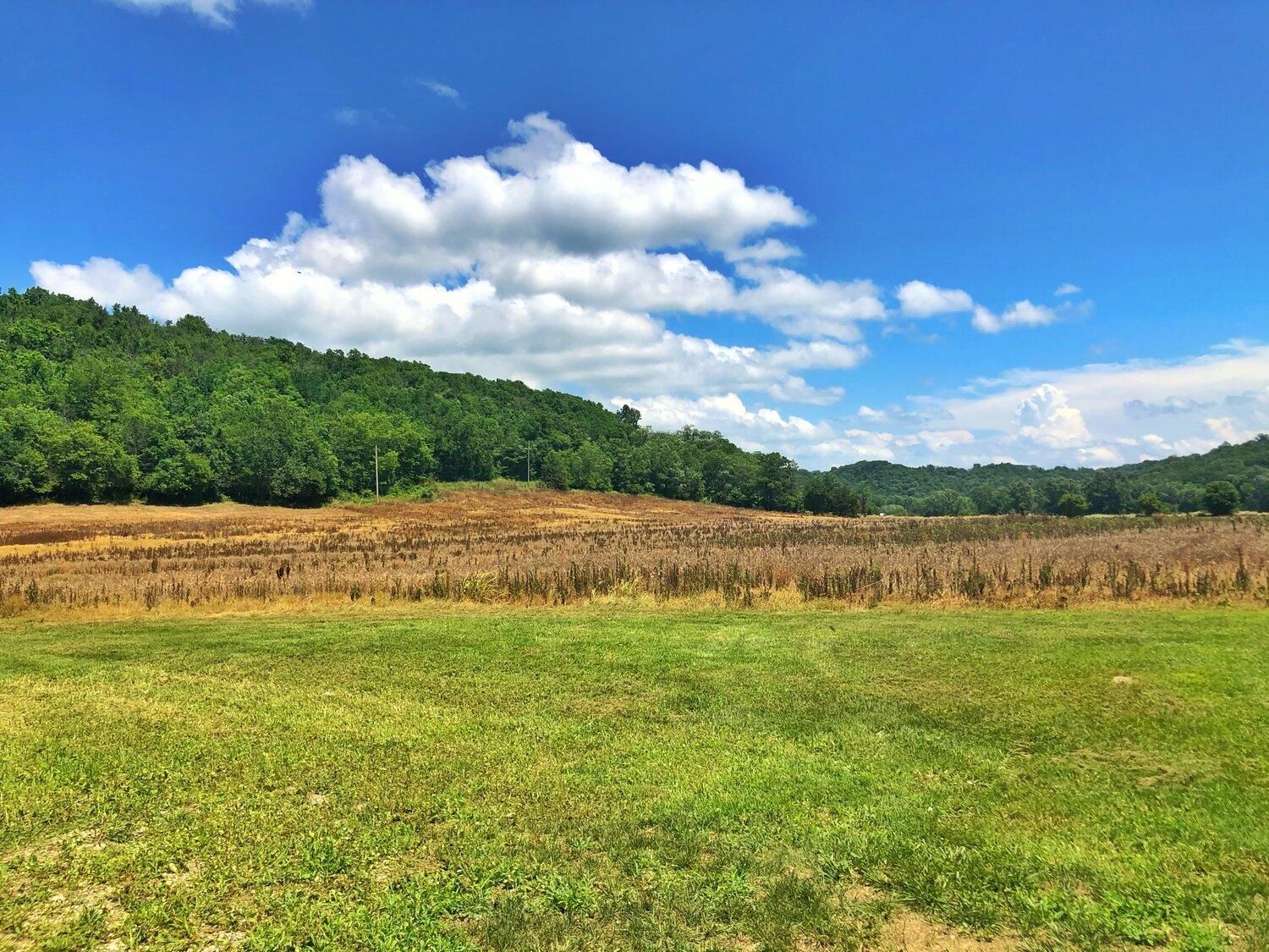 72 acres in Ripley County, Indiana