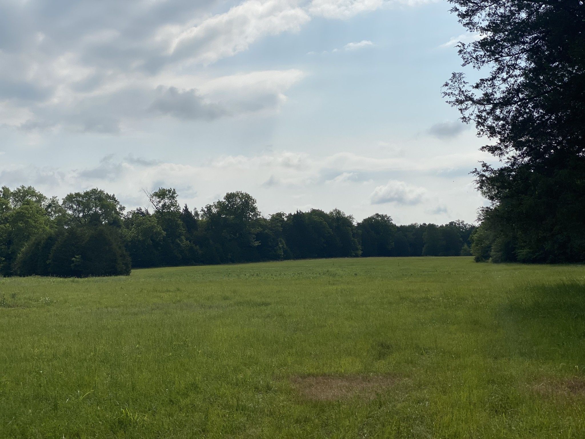 20 acres in Rutherford County, Tennessee