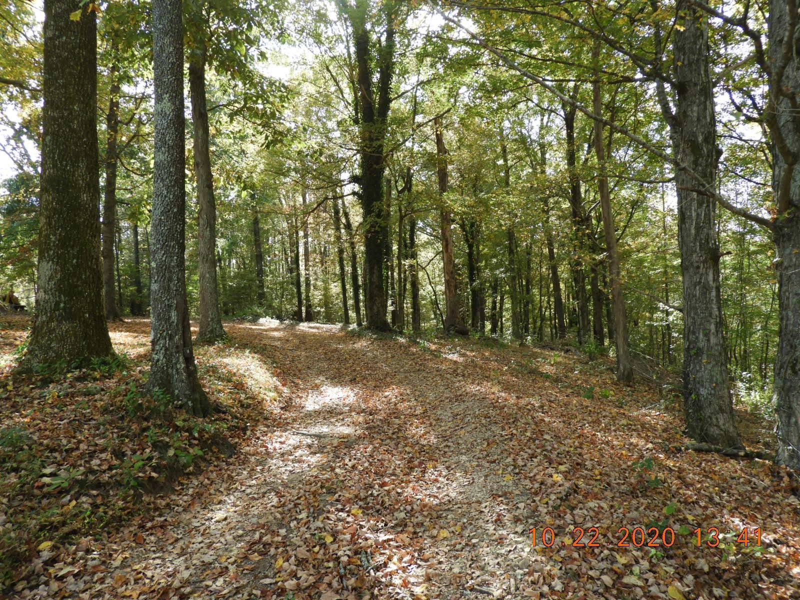 27.5 acres in Giles County, Tennessee