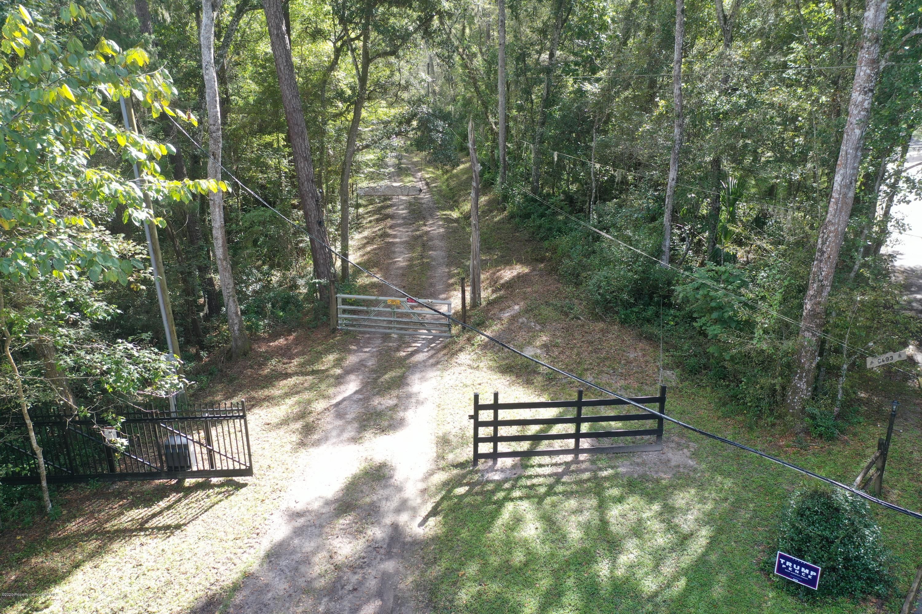 20 acres in Hernando County, Florida