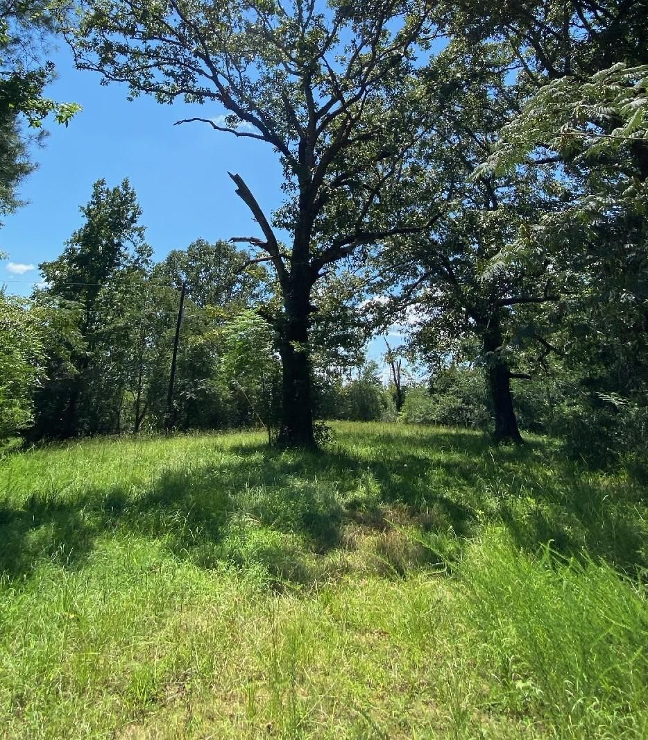 40 acres in Chilton County, Alabama