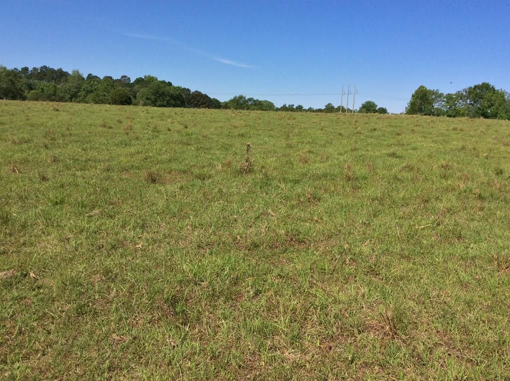 10 acres in Coffee County, Alabama