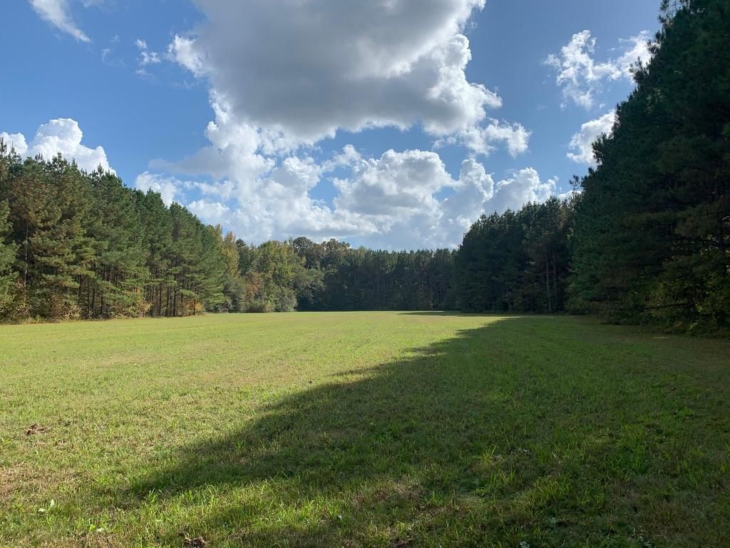 262 acres in Benton County, Mississippi