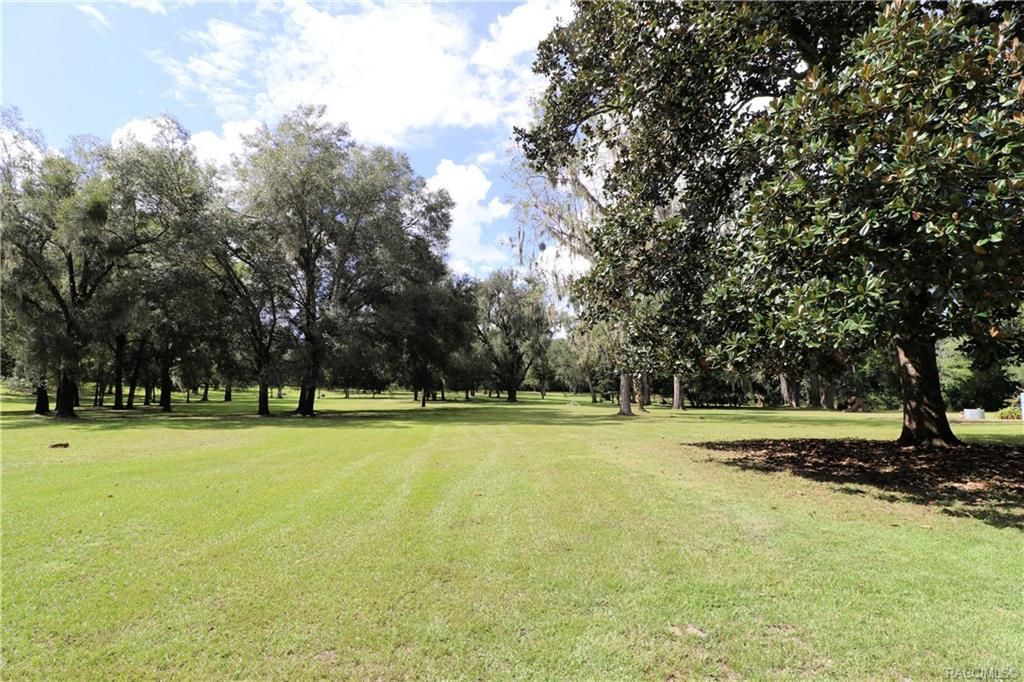 10 acres in Citrus County, Florida