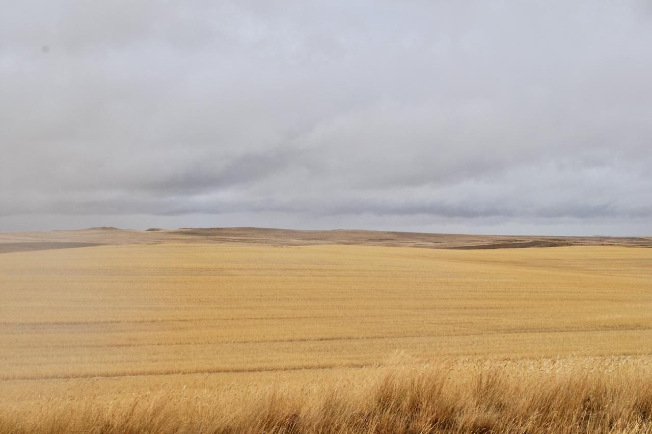 1,437 acres in Garfield County, Montana