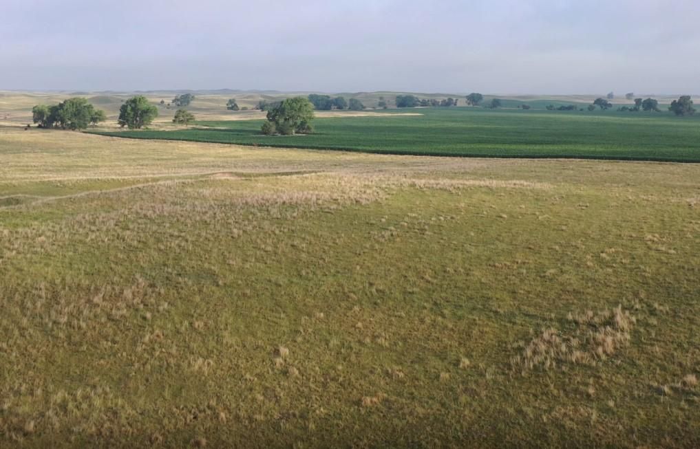 3,968 acres in North Platte, NE, 69101 MLS Homestead 1884 LLC Land