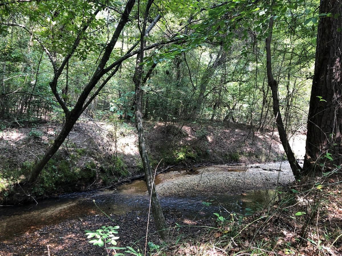 40 acres in Dallas County, Arkansas