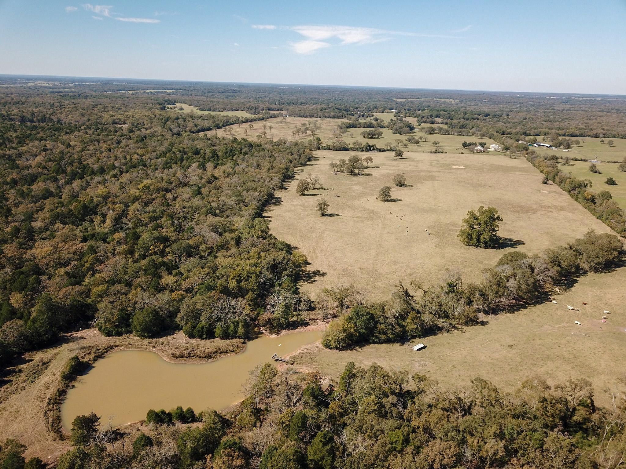 TBD CR 348, Concord, TX 77850 MLS 40260817