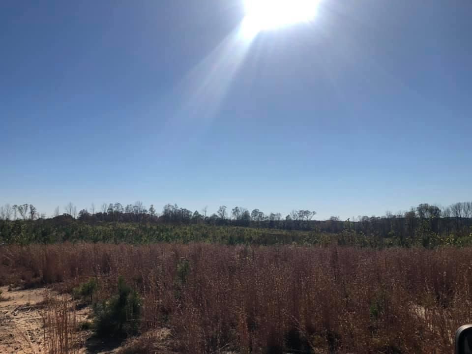 2 acres in Halifax County, Virginia