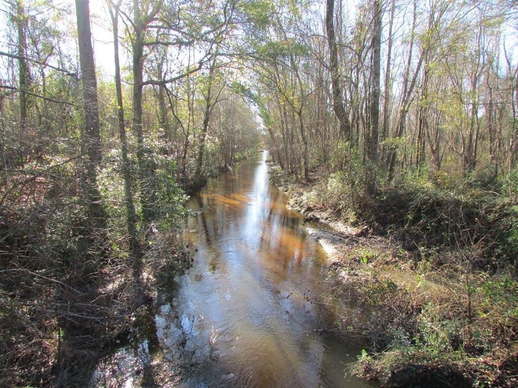 19.4 acres in Darlington County, South Carolina