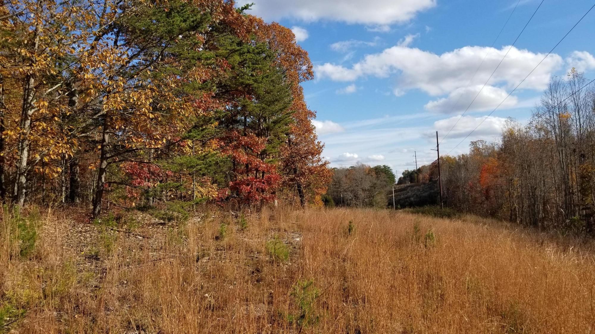 50 acres in Pittsylvania County, Virginia
