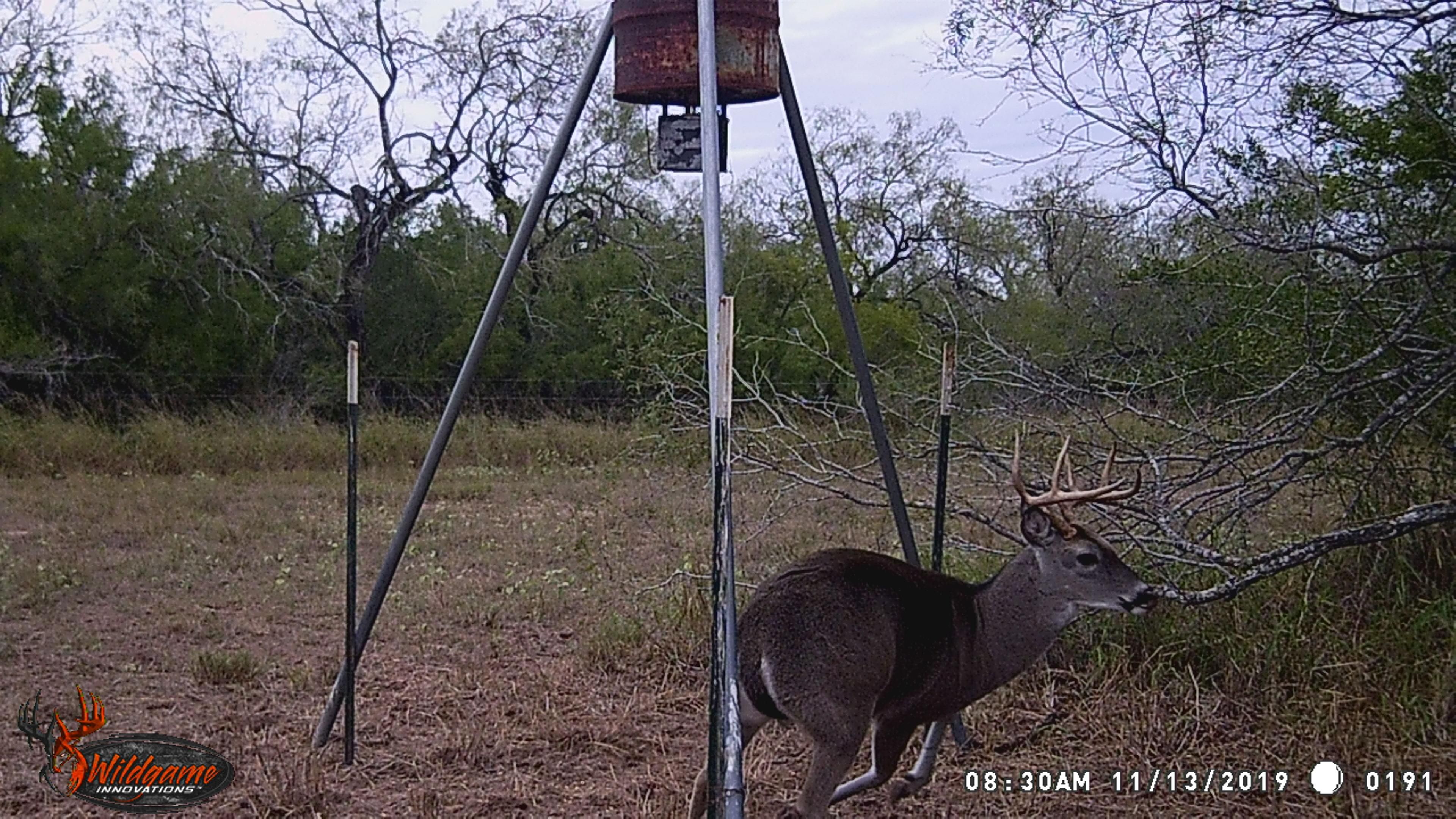 50 acres in Kenedy County, Texas