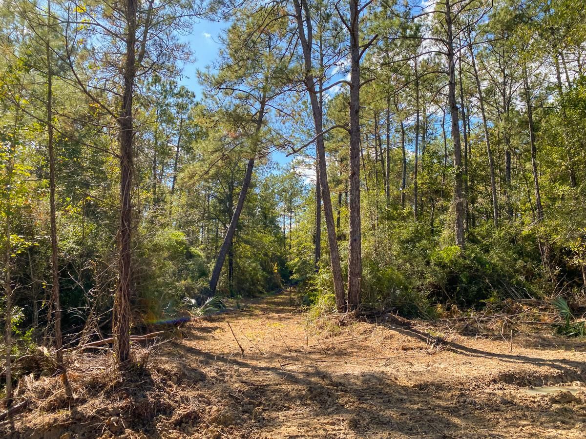 Gates Rd, Devers, TX 77538