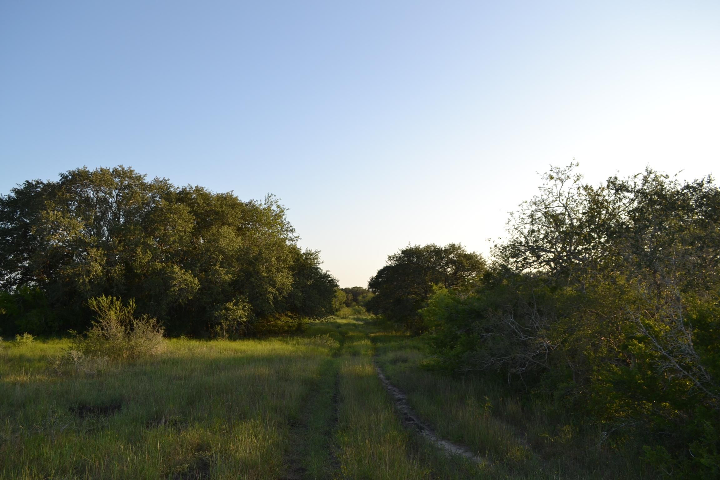 217 acres in Goliad County, Texas
