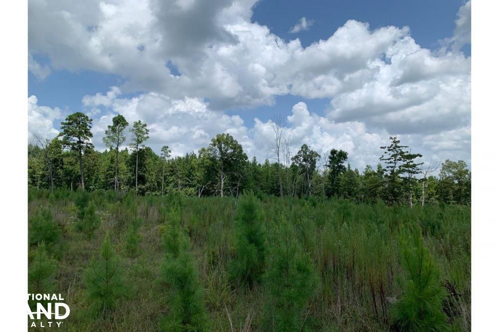 37 acres in Oktibbeha County, Mississippi