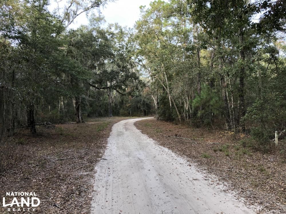 41 acres in Camden County,