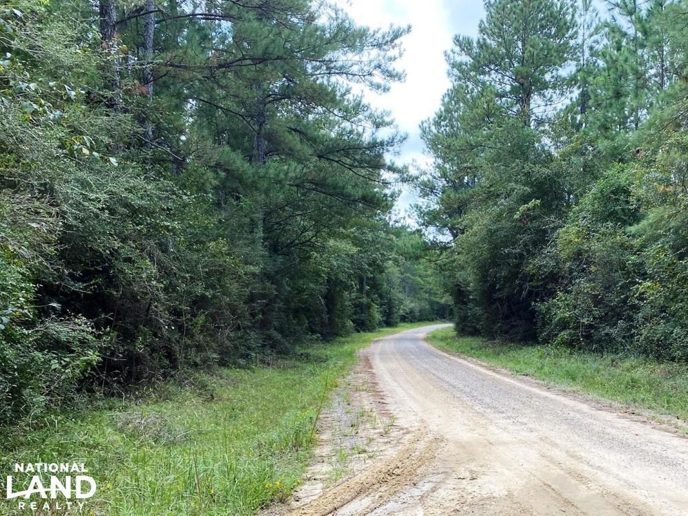 67 acres in Stone County, Mississippi