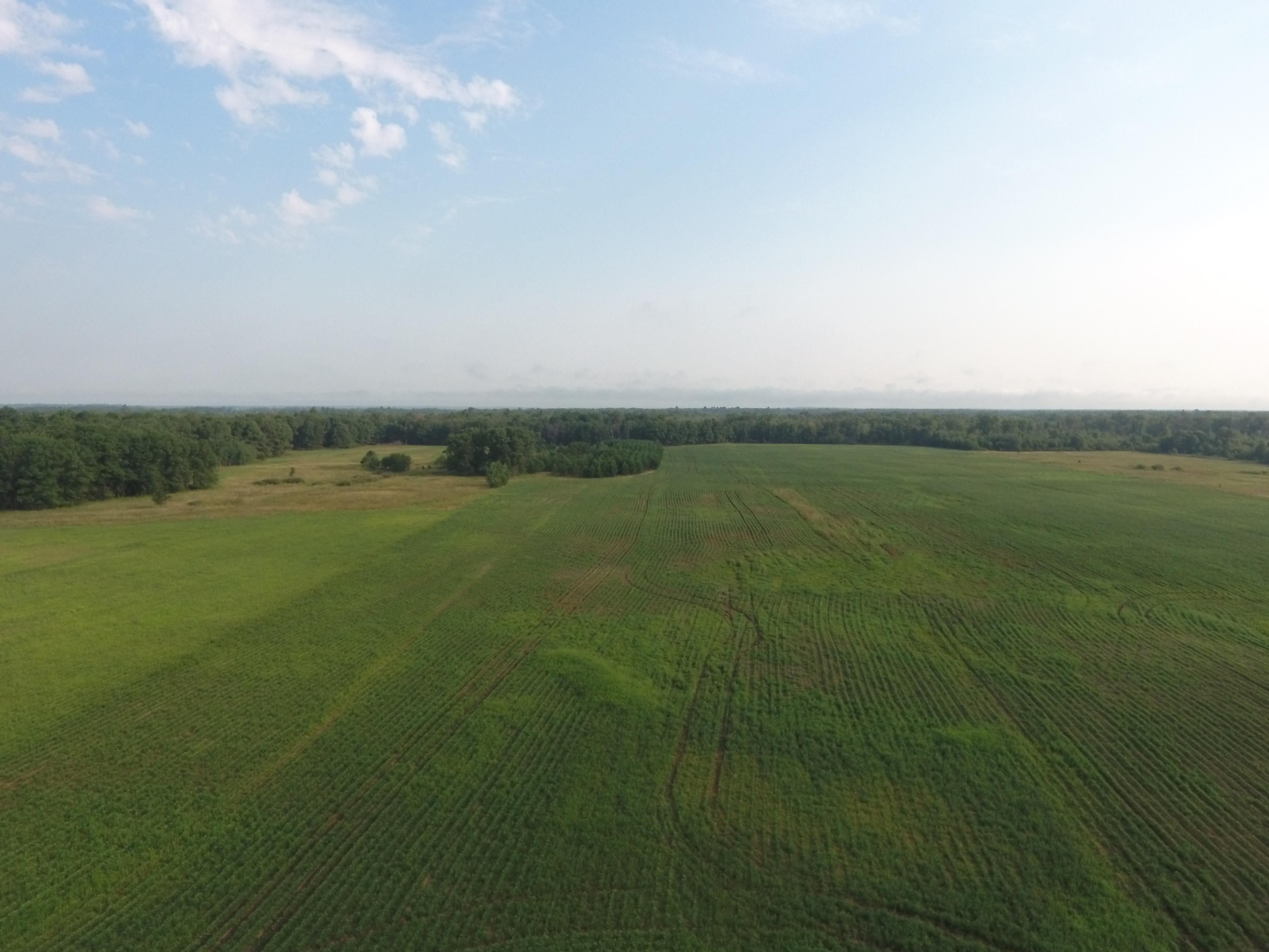 Lynn Hill Road, Nekoosa, WI 54457 MLS 1855856