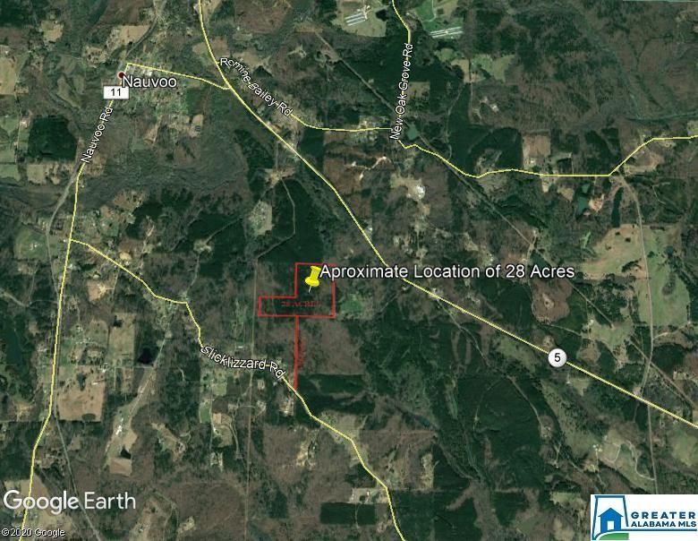 28 acres in Walker County, Alabama