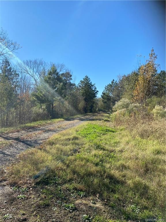40 acres in De Soto Parish, Louisiana