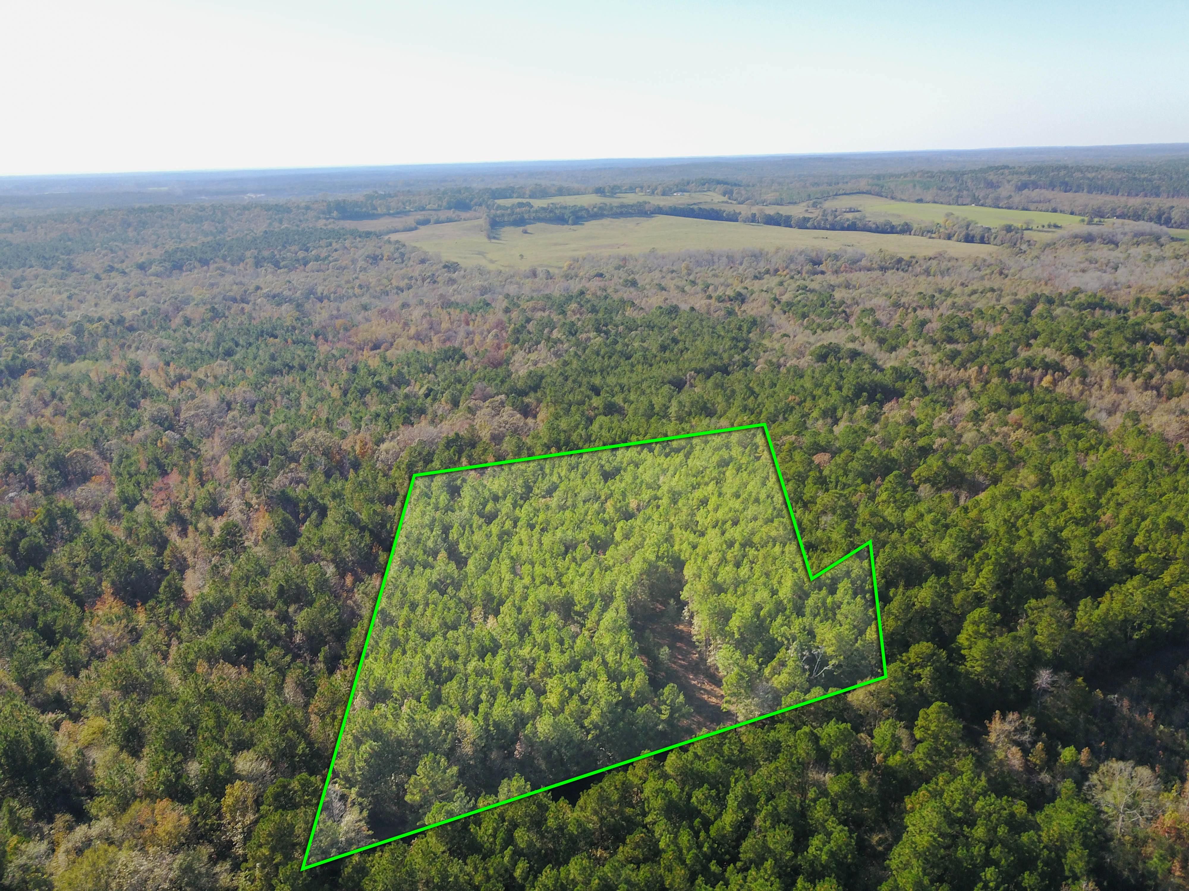 7 acres in Sabine County, Texas