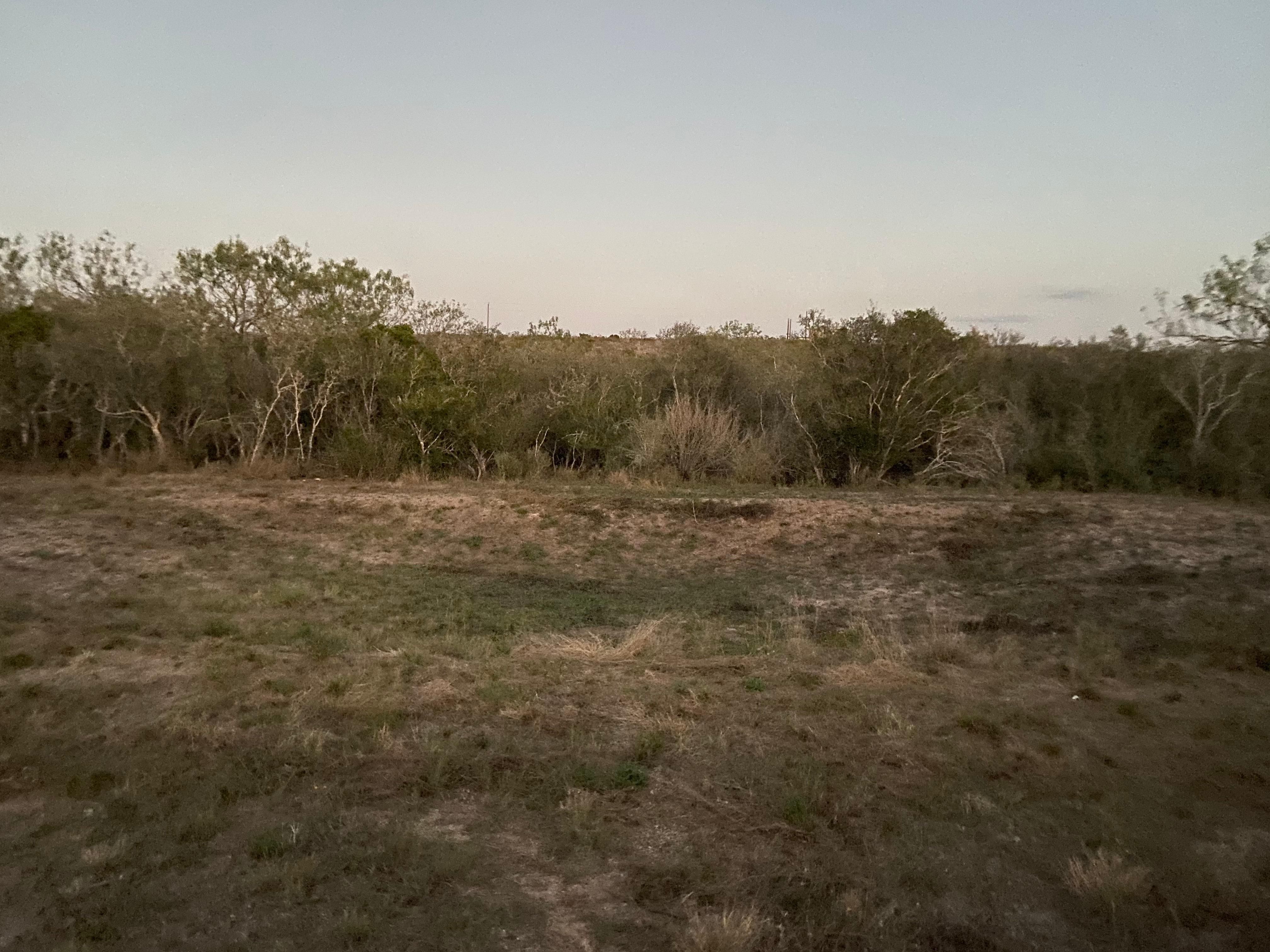 50 acres in Freer, TX, 78357 MLS 1496981