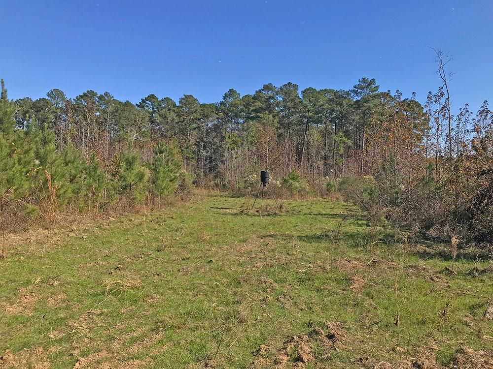 140 acres in Lake, MS, 39092
