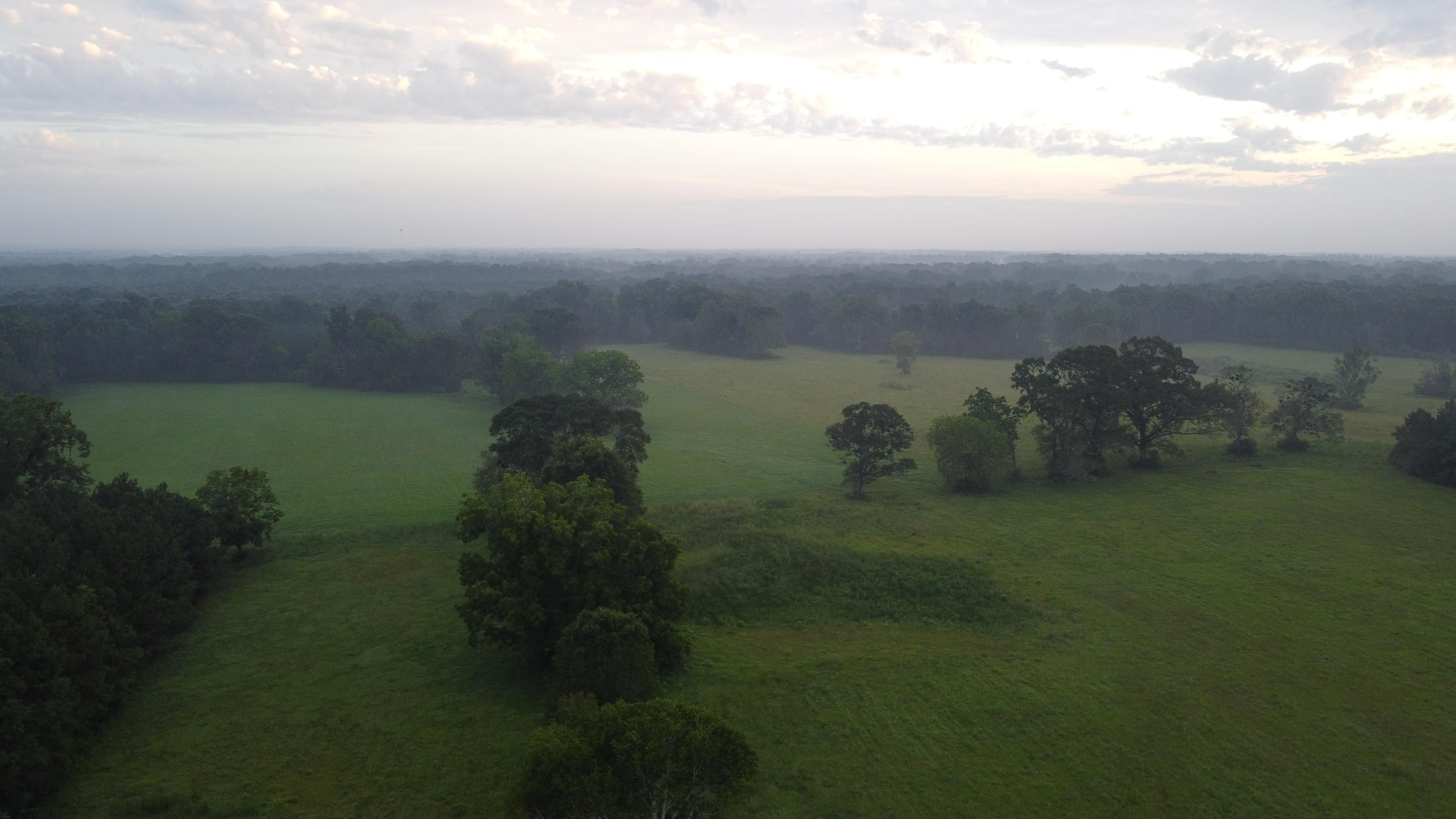 146 acres in East Feliciana Parish, Louisiana