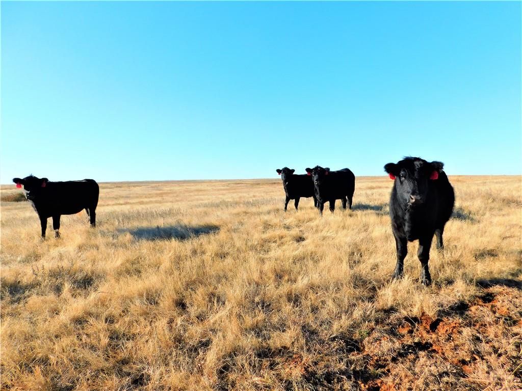 20 acres in Logan County, Oklahoma