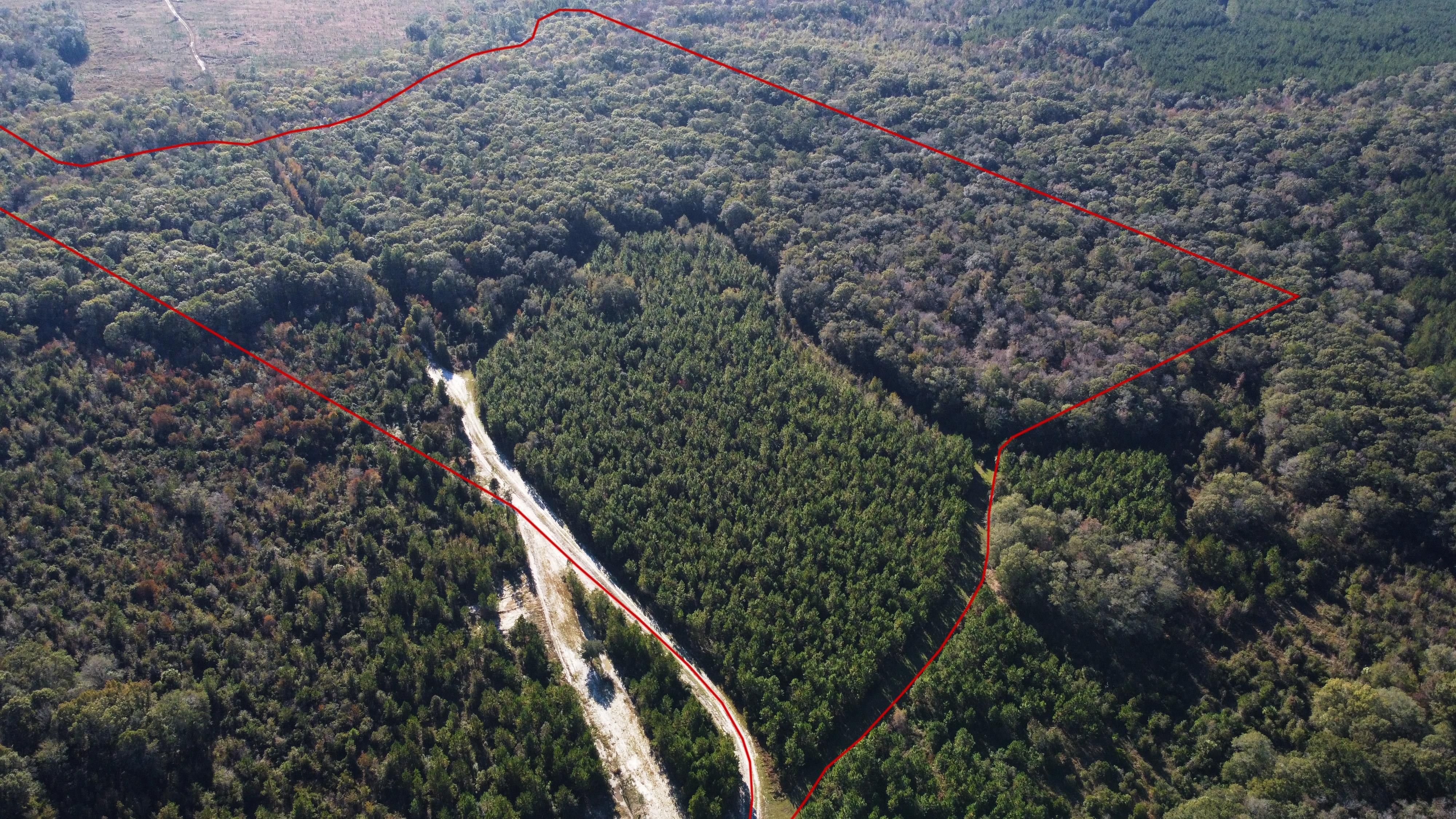 59.17 acres in Nassau County, Florida