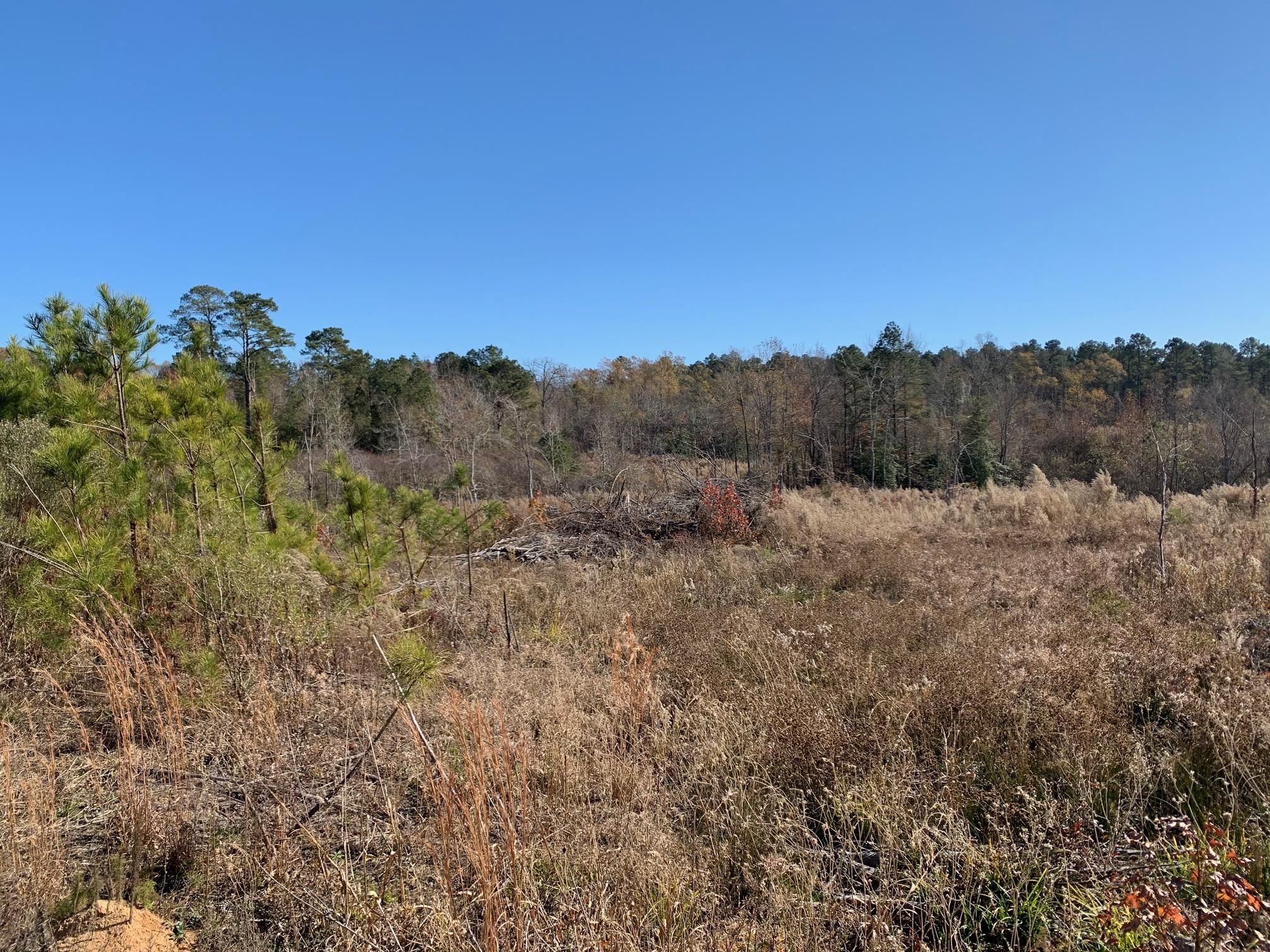 100 acres in Columbia County, Arkansas