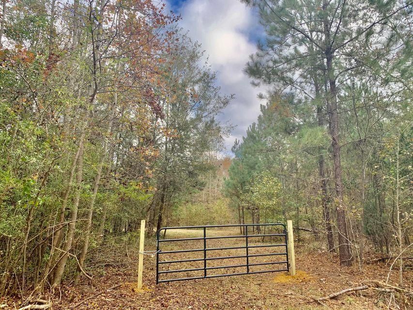 40 acres in Dorchester County, South Carolina