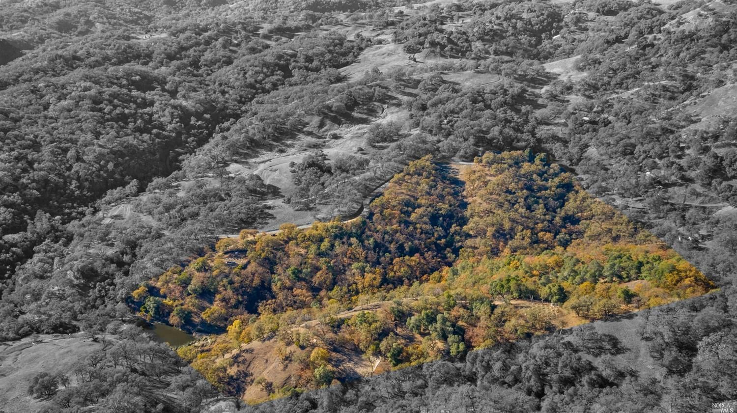 40 acres in Mendocino County, California