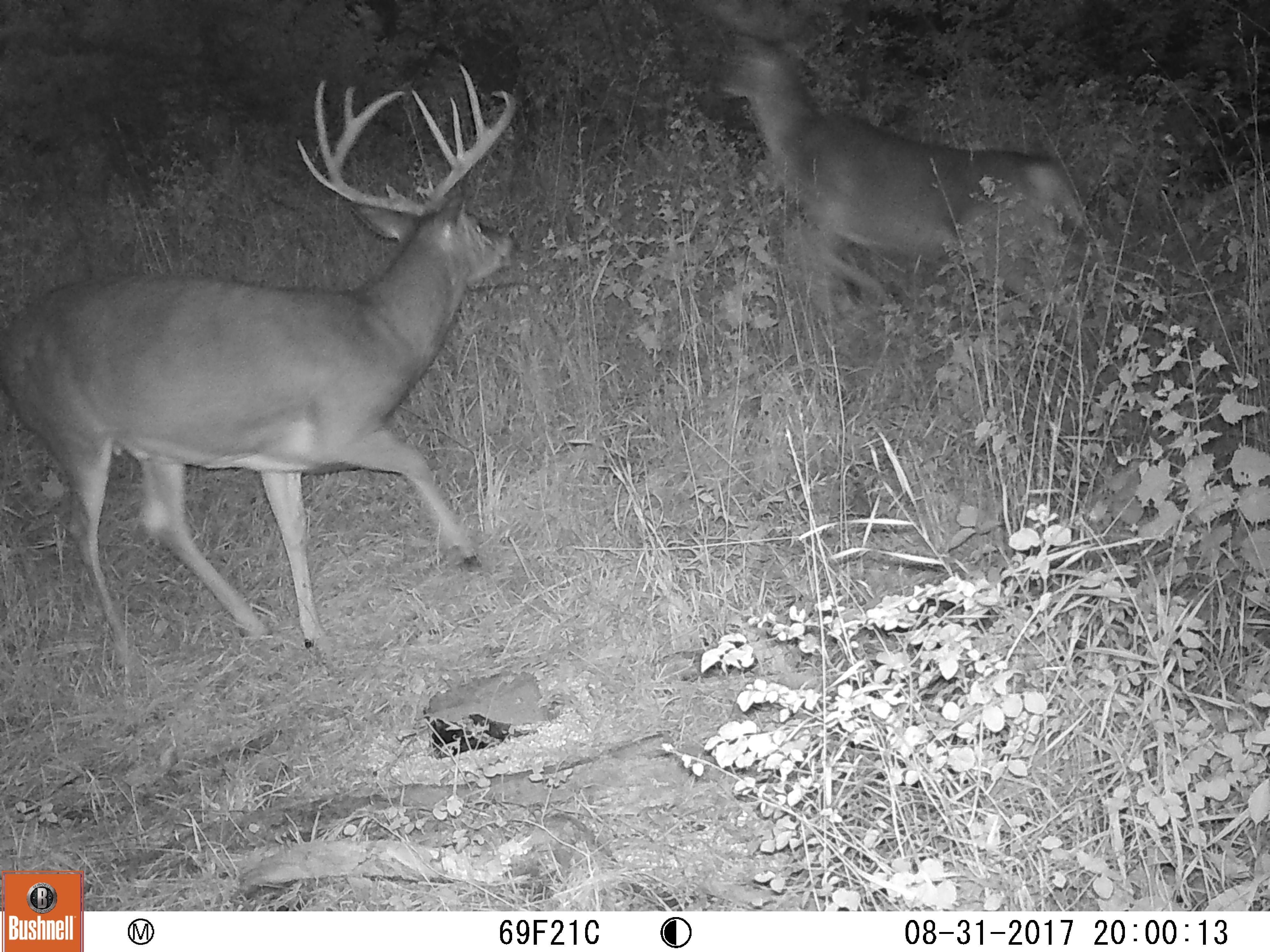 91 acres in Douglas County, Kansas